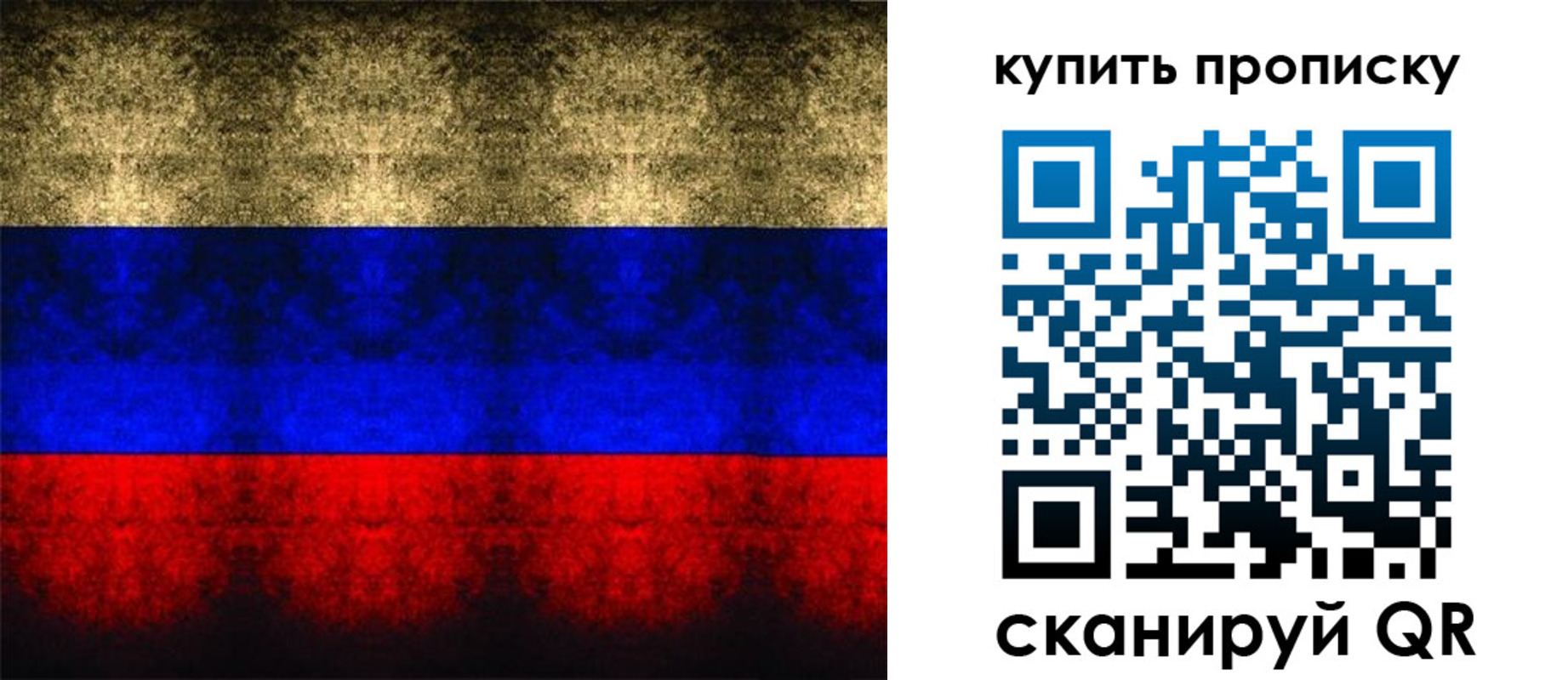 прописка в Волосово