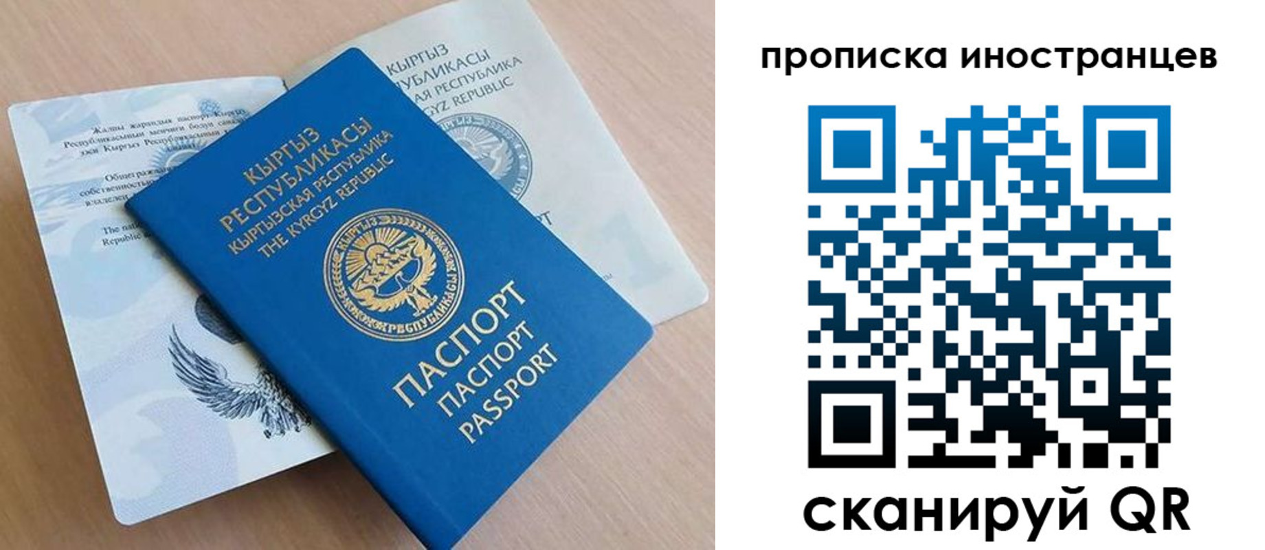 временная регистрация гарантия в Волосово